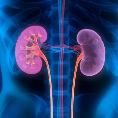 Kidney disease